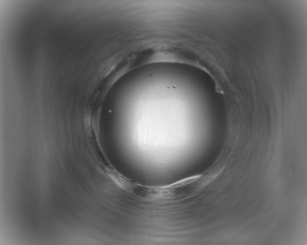 X0000067330288200604030941