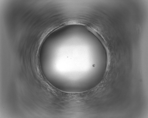 X0000067330289200604030940