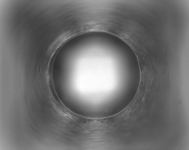 X0000067330290200604030940