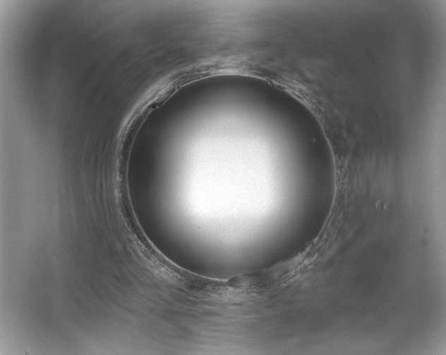 X0000067330293200604030940