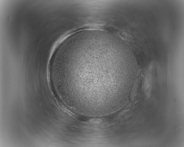 X0000067330294200604030940