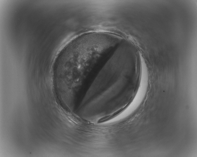 X0000067330295200604030940