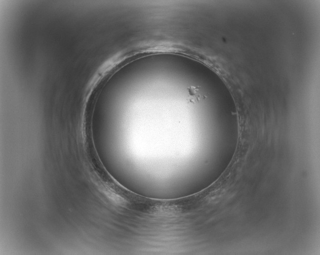 X0000067330296200604030940