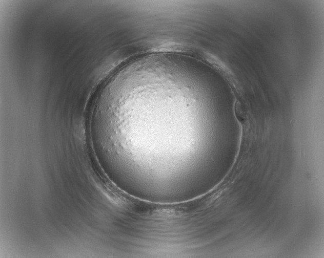 X0000067330298200604030940