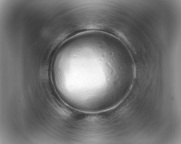 X0000067330299200604030940