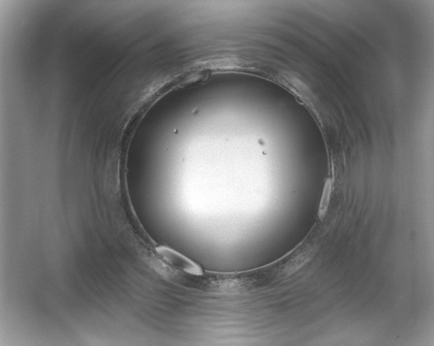 X0000067330301200604030940