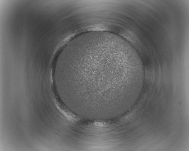 X0000067330302200604030940