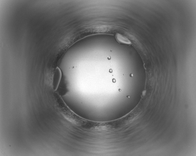 X0000067330307200604030940