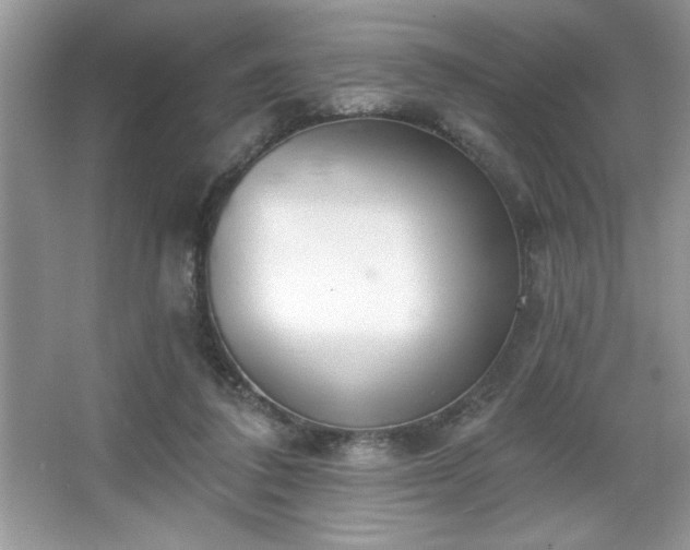 X0000067330308200604030940