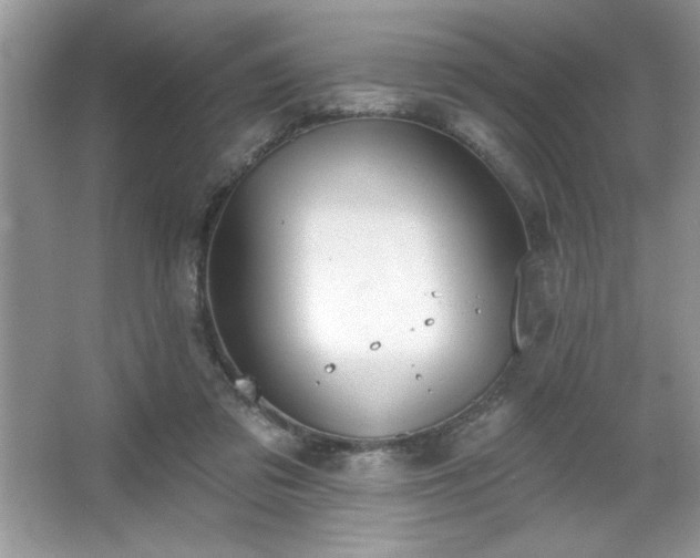 X0000067330309200604030940