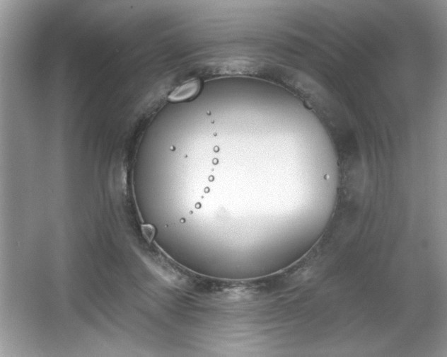 X0000067330310200604030940