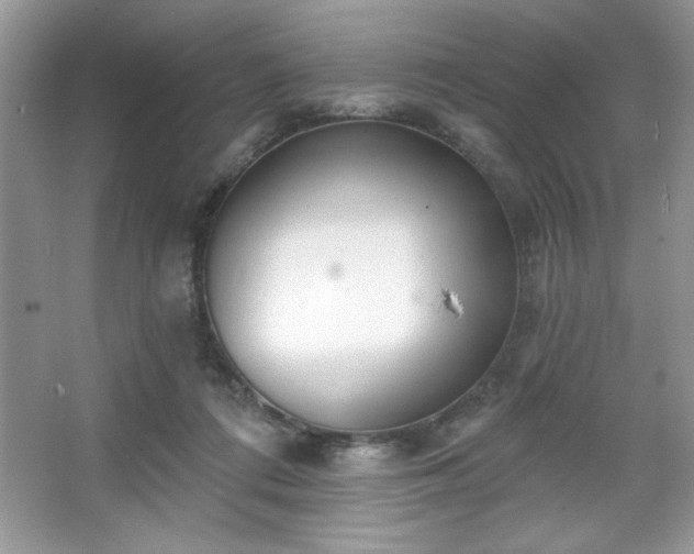 X0000067330312200604030940