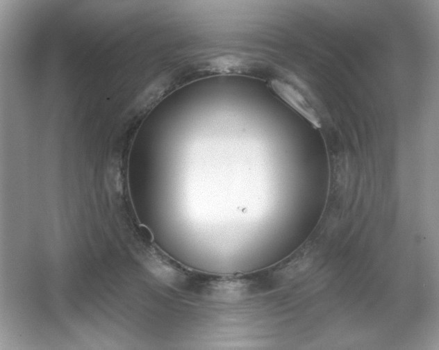 X0000067330313200604030940