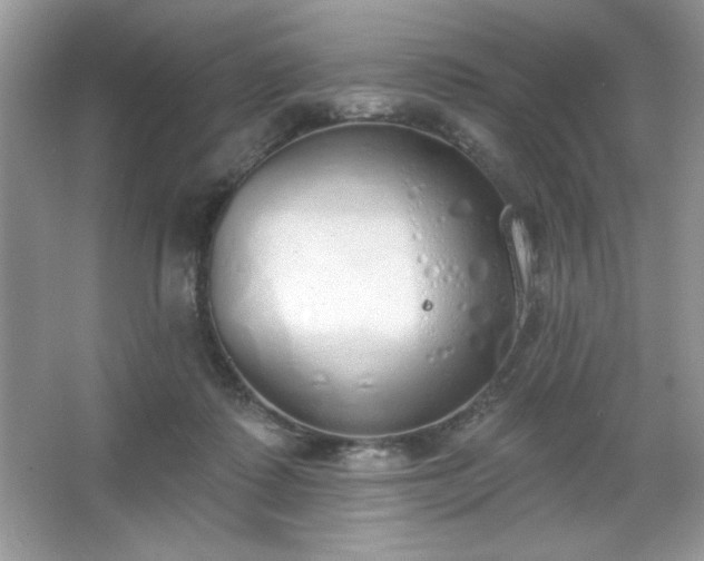 X0000067330315200604030940