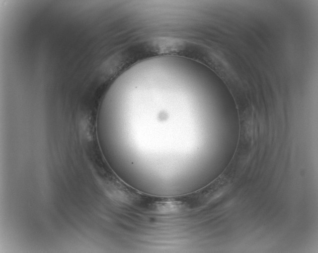 X0000067330316200604030940