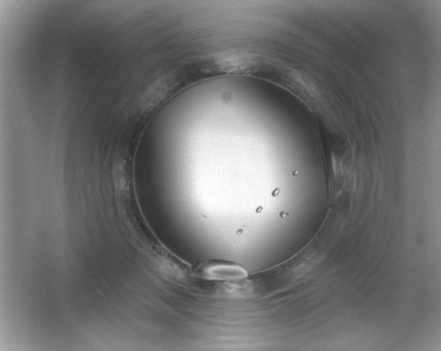 X0000067330317200604030940