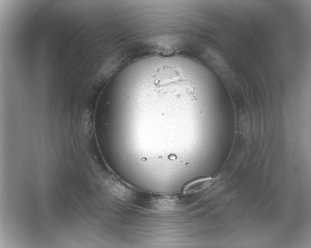 X0000067330318200604030940