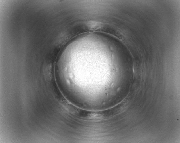 X0000067330319200604030940