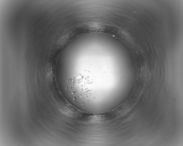 X0000067330320200604030940