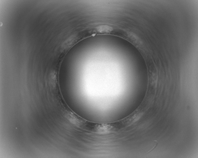 X0000067330321200604030940