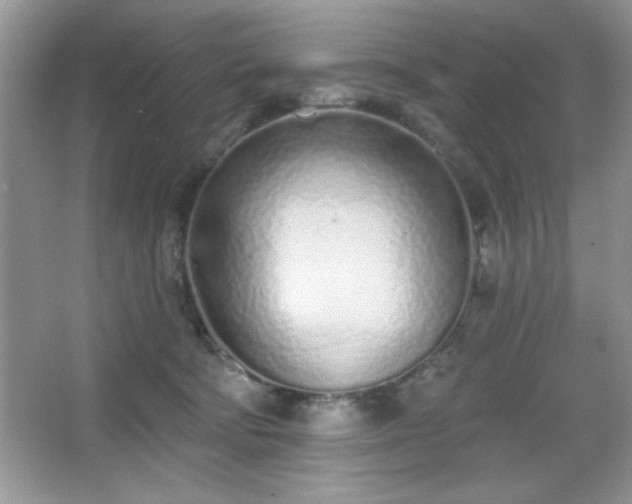 X0000067330322200604030940