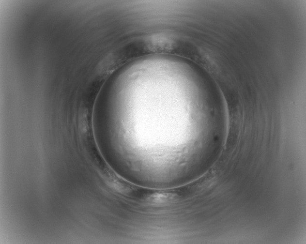 X0000067330323200604030940