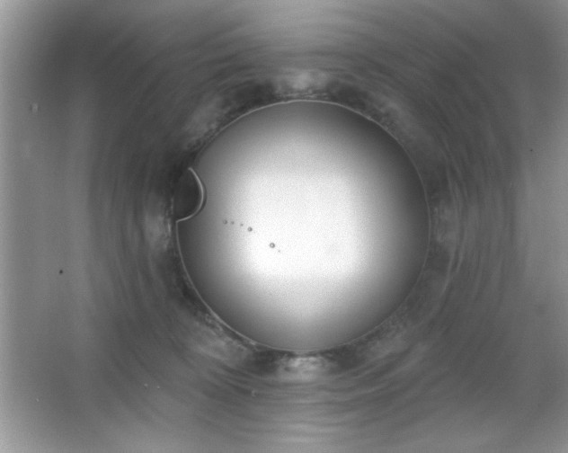 X0000067330324200604030940