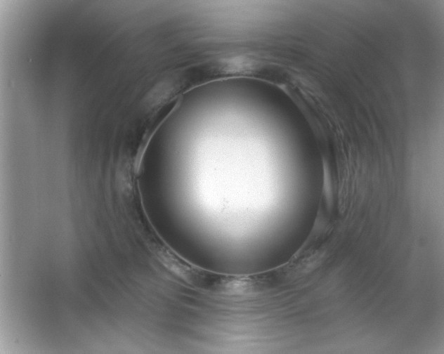 X0000067330325200604030940