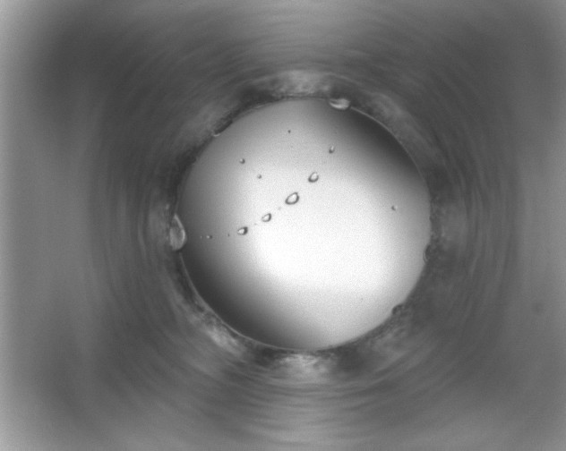 X0000067330326200604030940