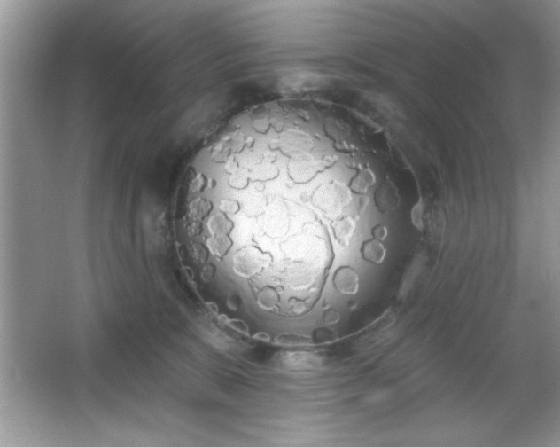 X0000067330327200604030940