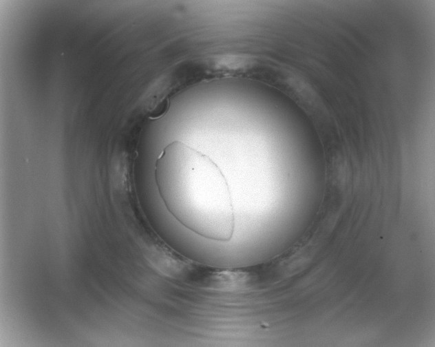 X0000067330328200604030940