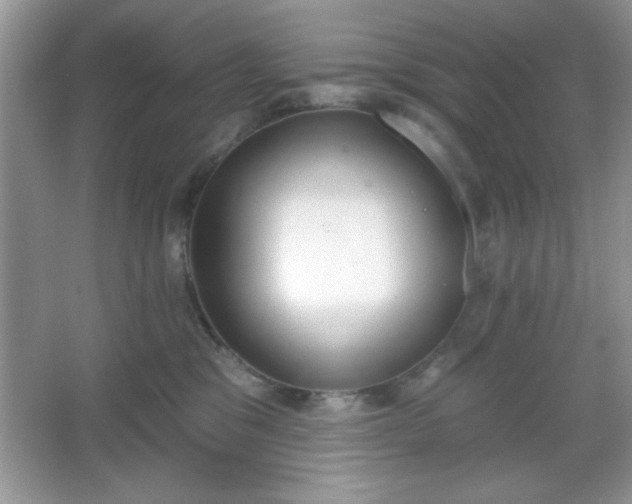 X0000067330329200604030940