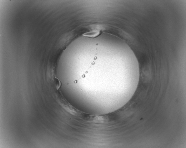 X0000067330330200604030940