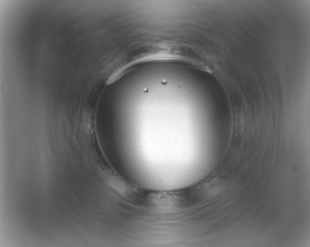 X0000067330331200604030940