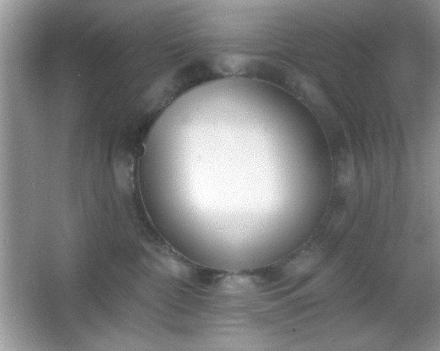 X0000067330332200604030940