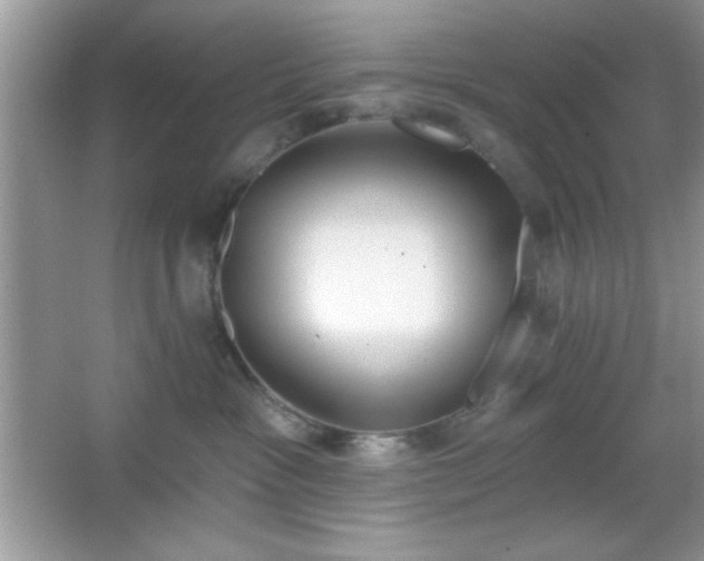 X0000067330333200604030940