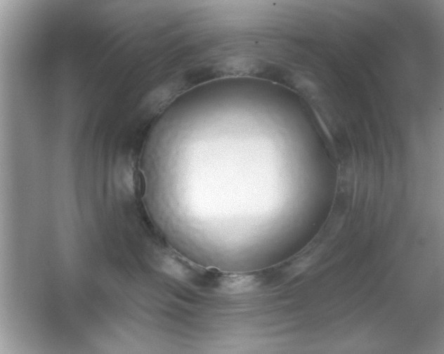 X0000067330334200604030940