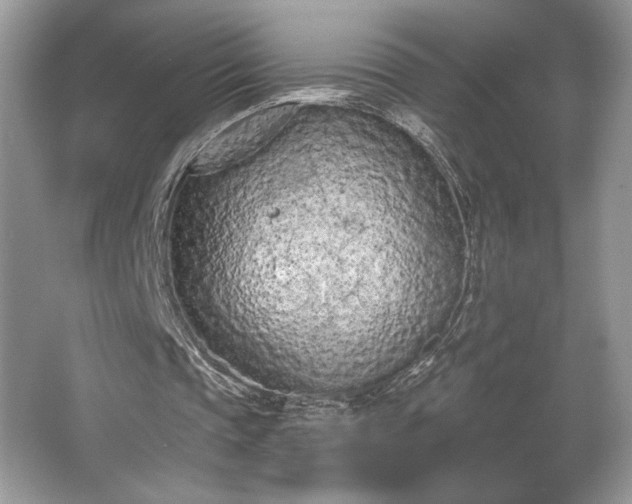 X0000067330337200604030939