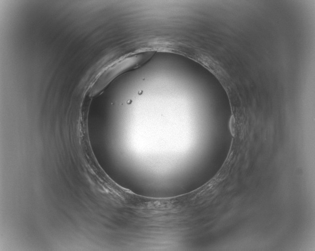 X0000067330338200604030939