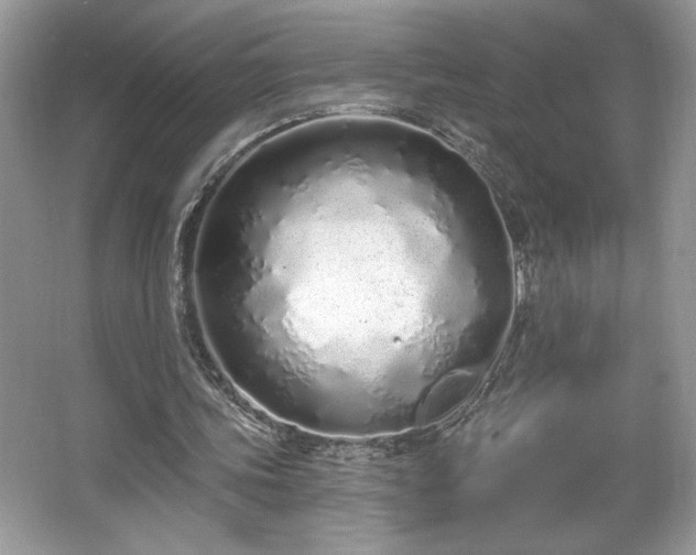 X0000067330339200604030939