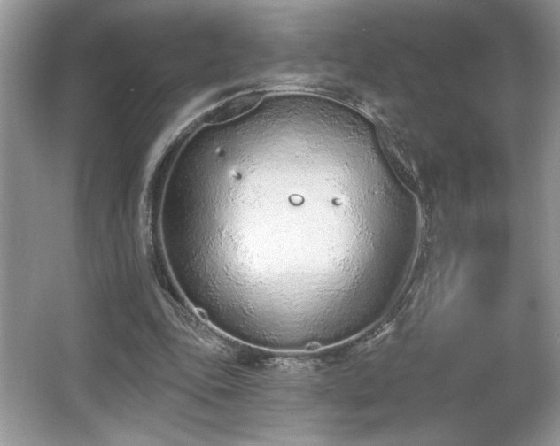 X0000067330343200604030939