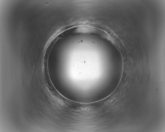 X0000067330344200604030939