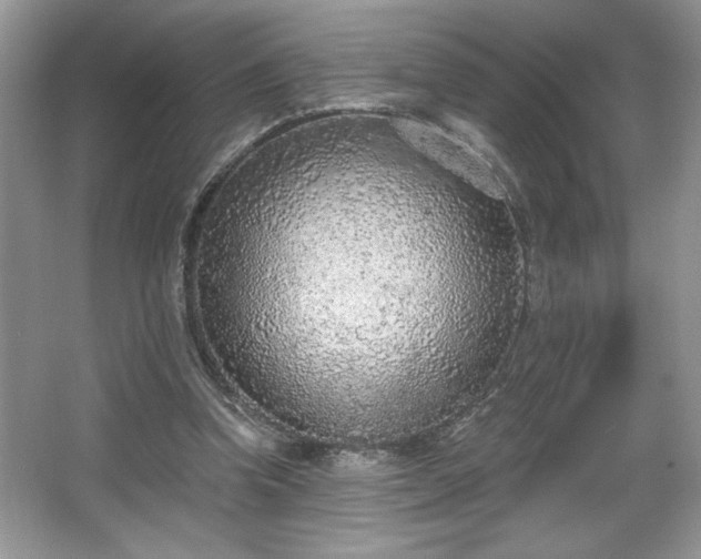 X0000067330346200604030939