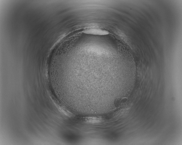 X0000067330347200604030939