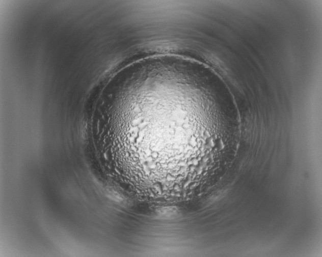 X0000067330355200604030939