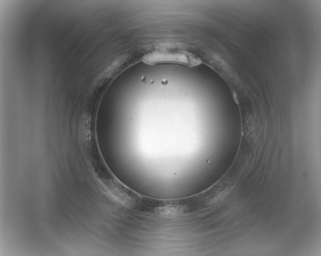 X0000067330356200604030939