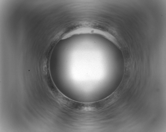 X0000067330360200604030939