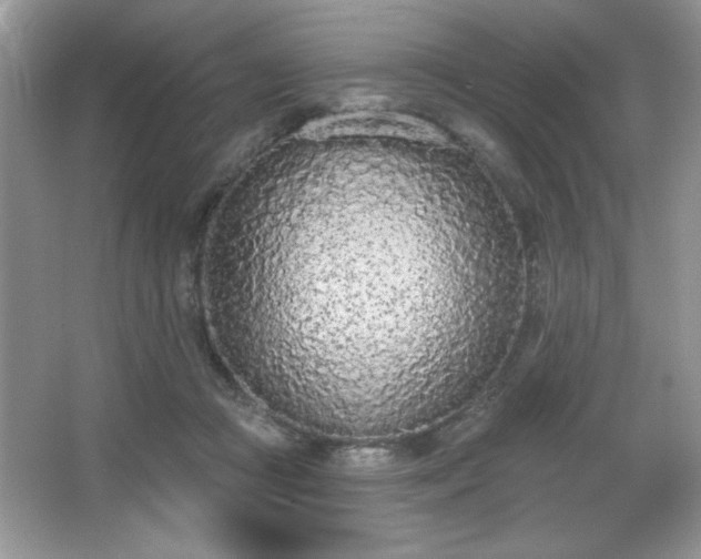 X0000067330361200604030939