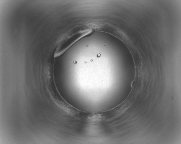 X0000067330362200604030939