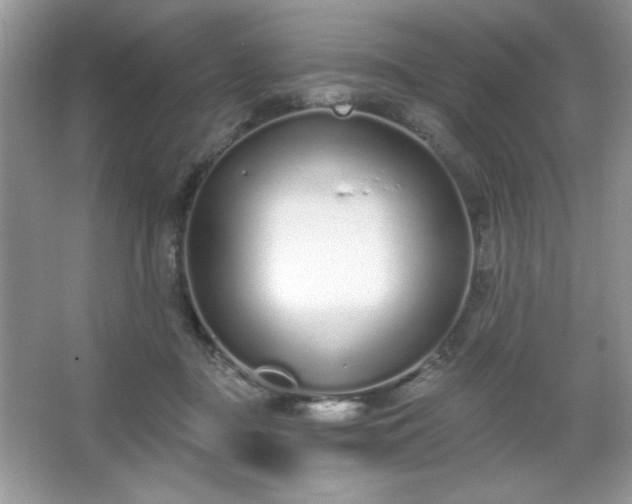 X0000067330363200604030939